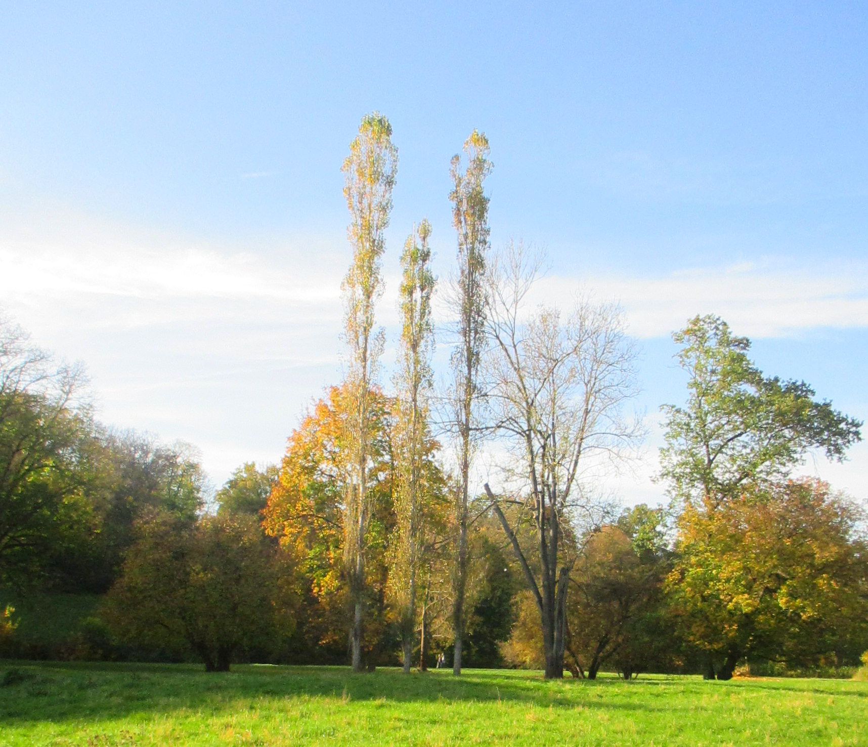 Goethepark (13)