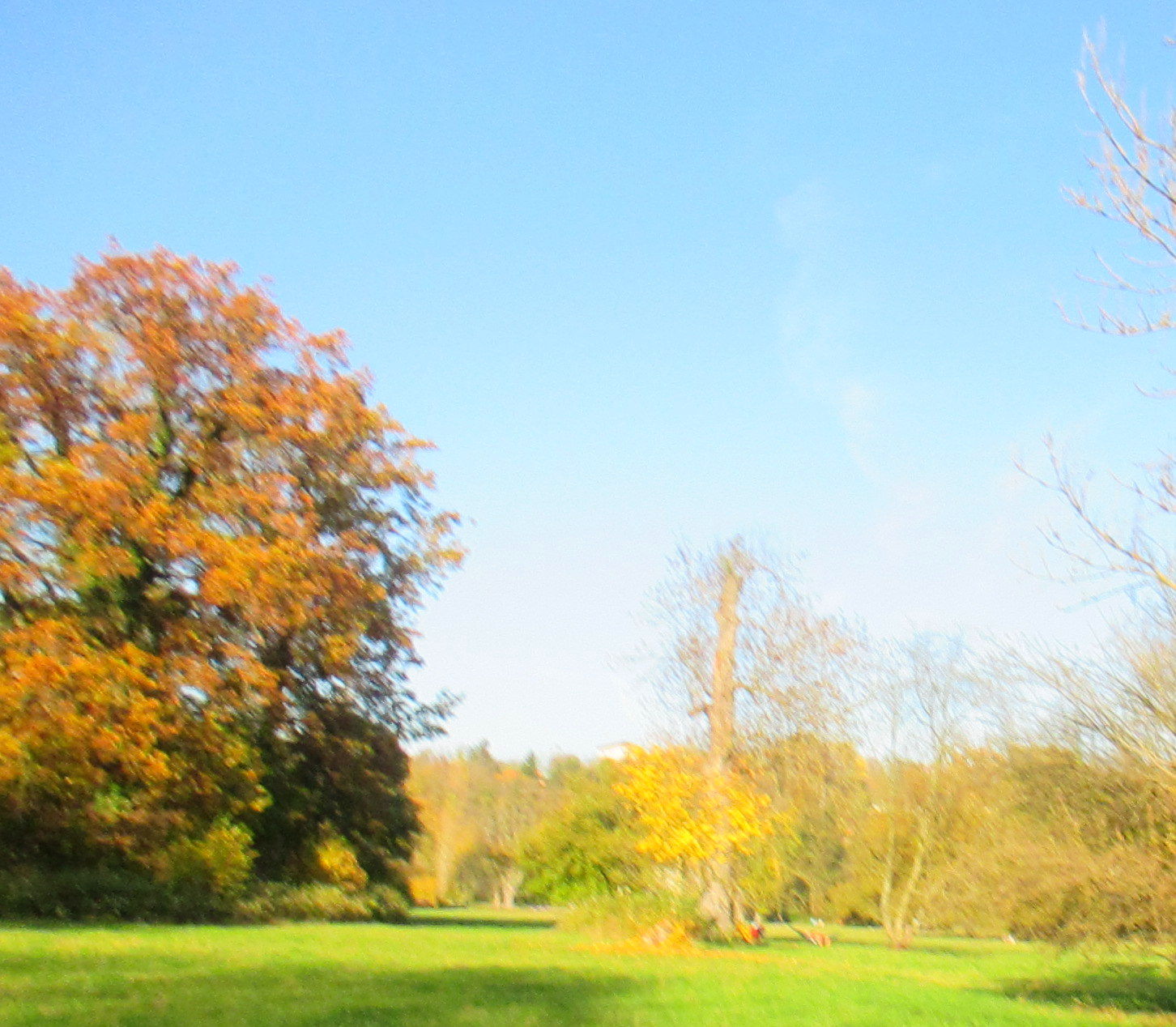 Goethepark (16)