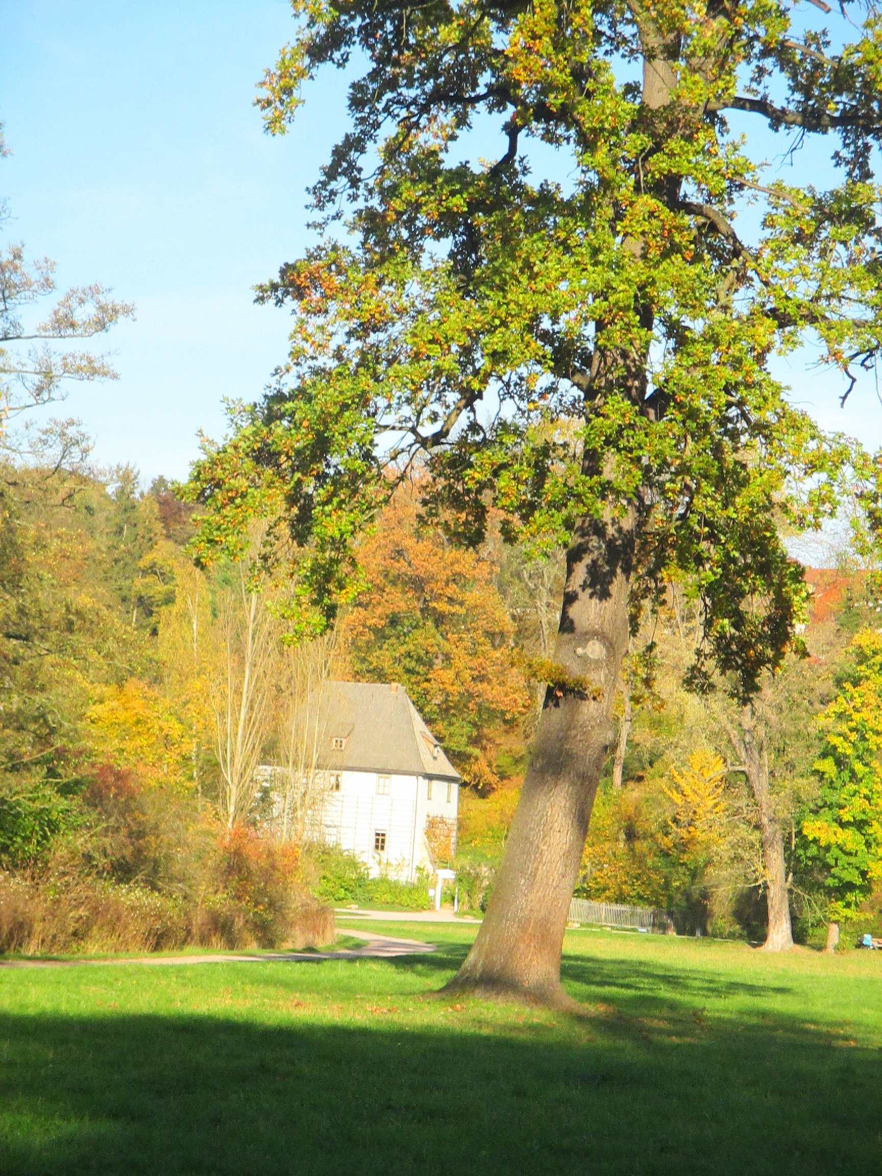 Goethepark (18)