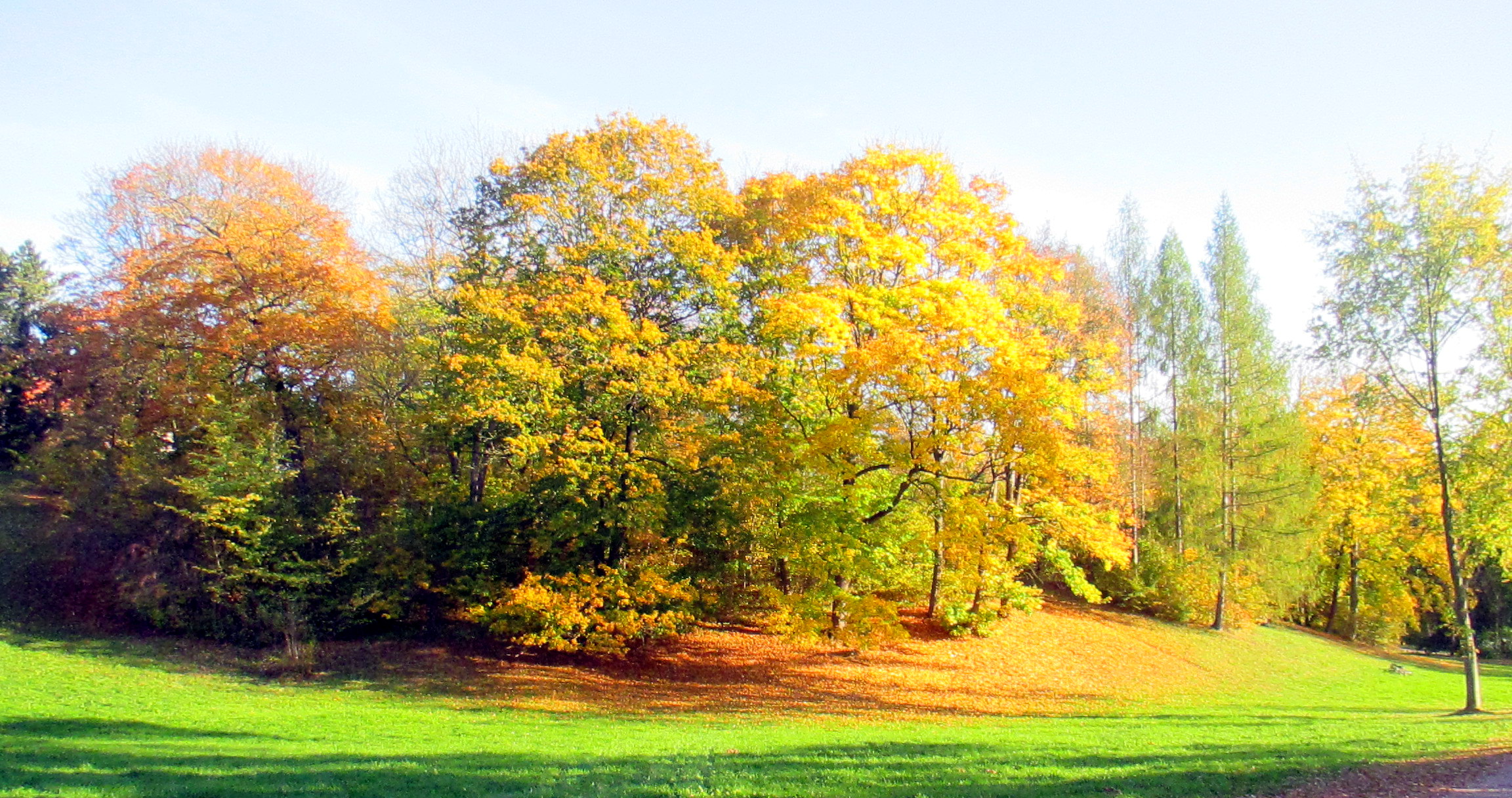 Goethepark (22)