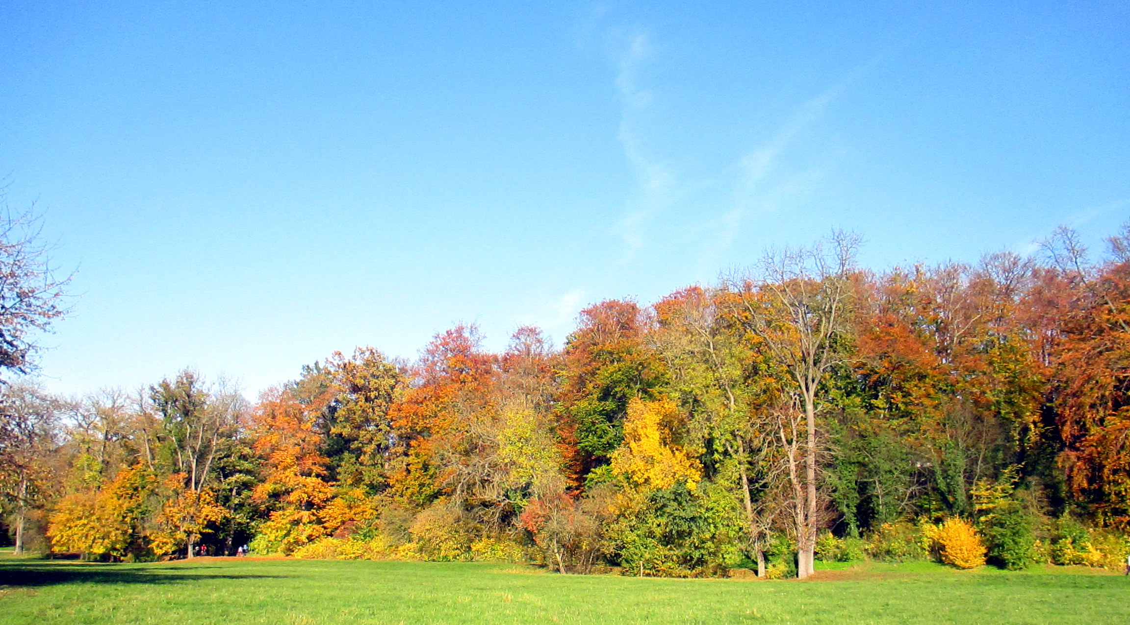 Goethepark (8)