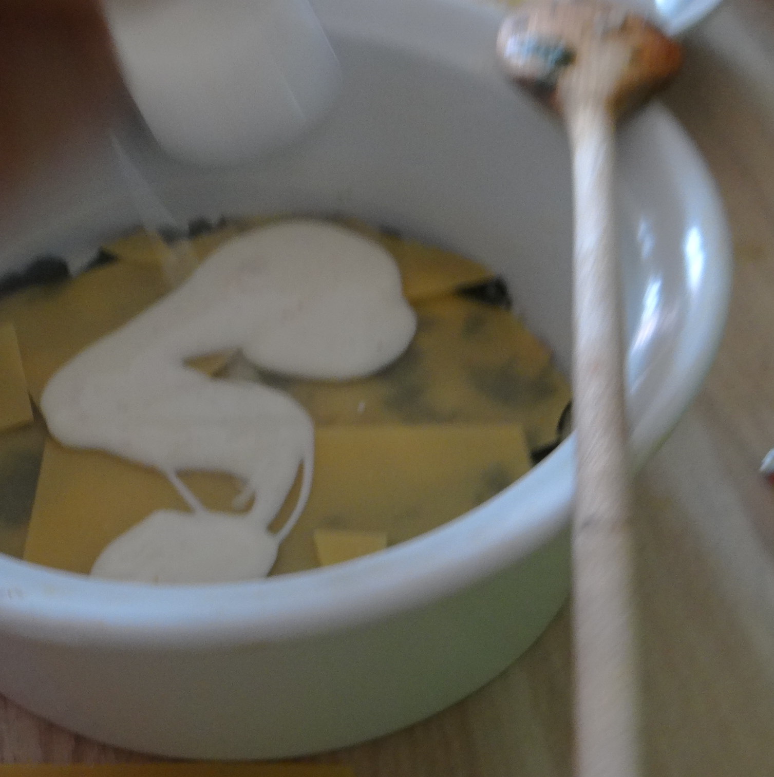 Spinat Lasagne (10)