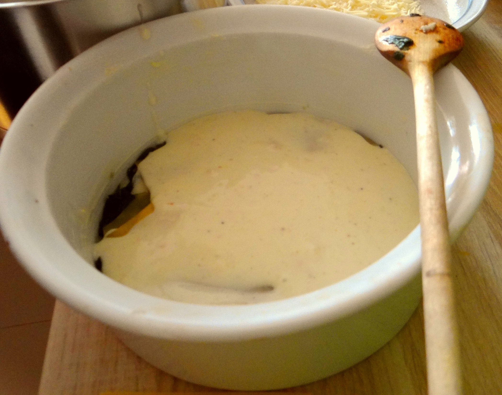 Spinat Lasagne (11)