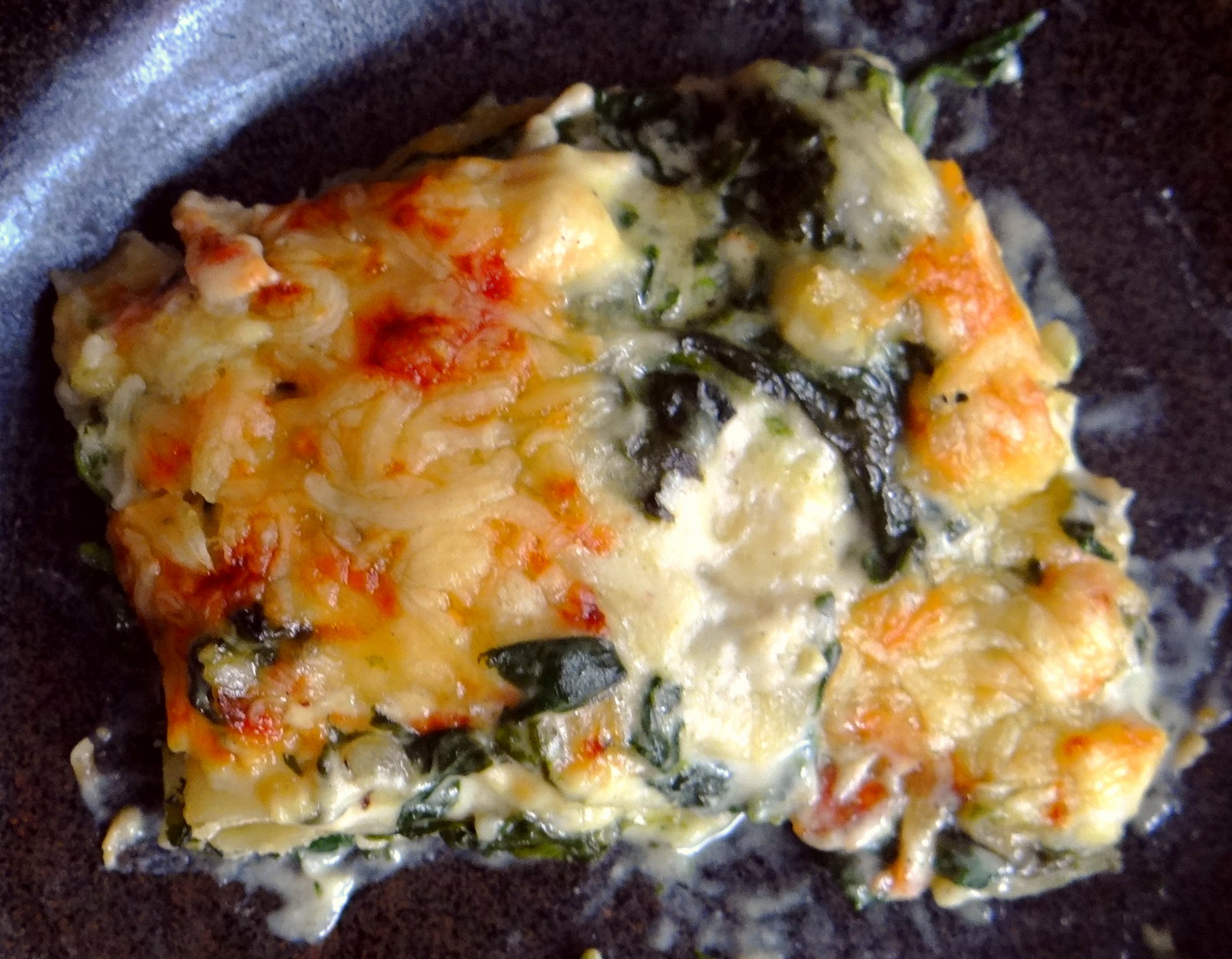 Spinat Lasagne (16)