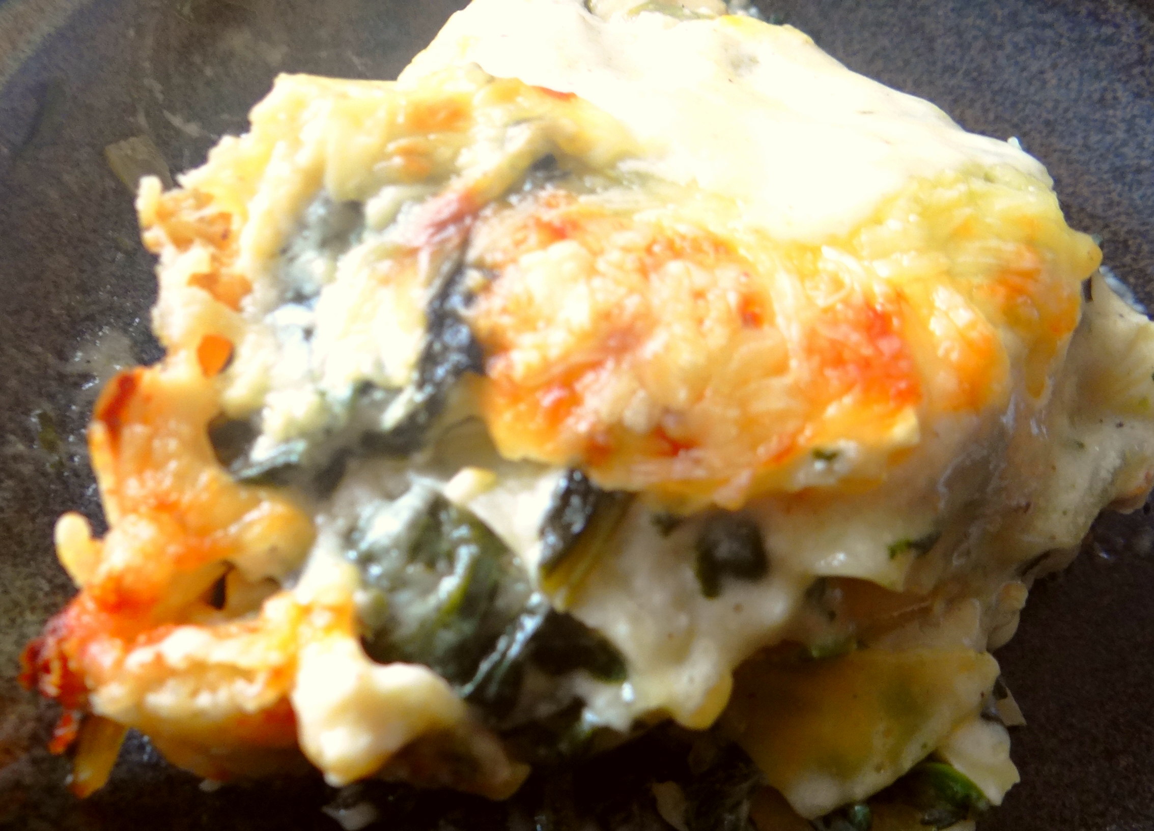 Spinat Lasagne (18)