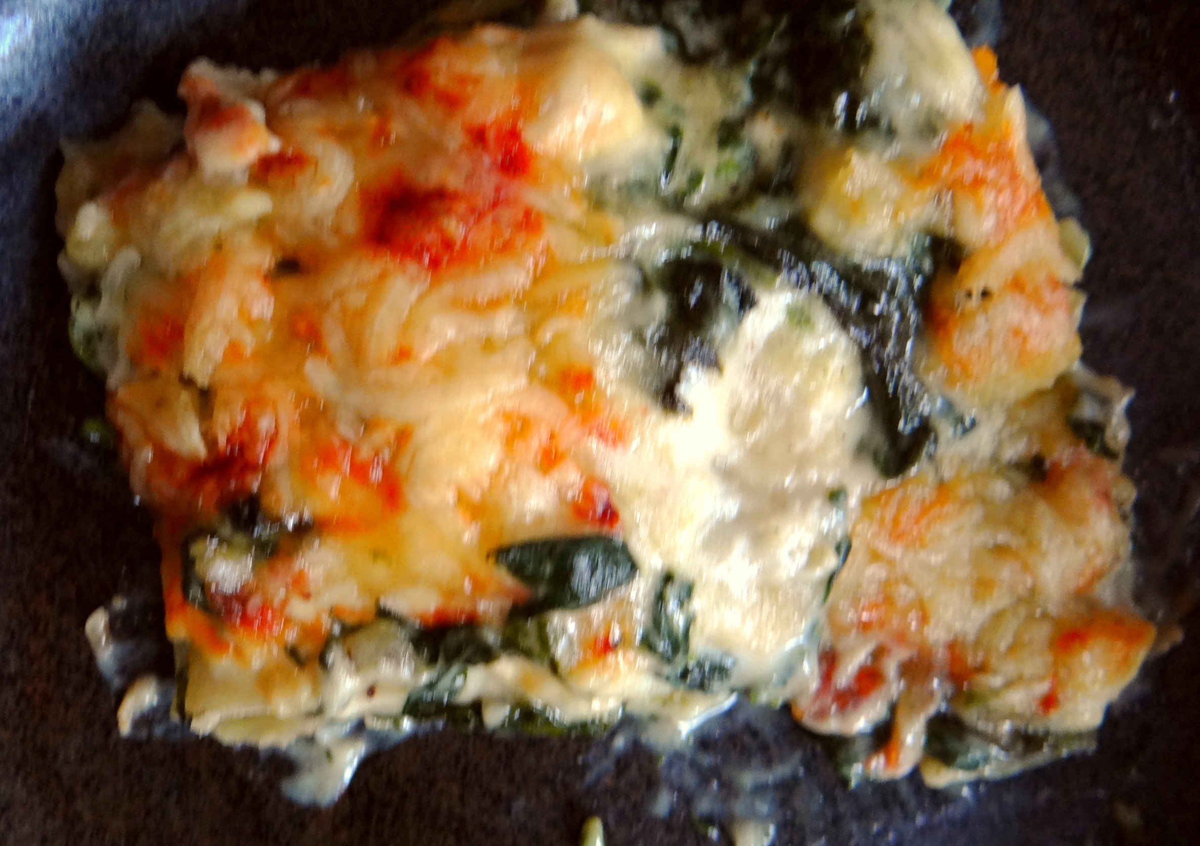 Spinat Lasagne (3)