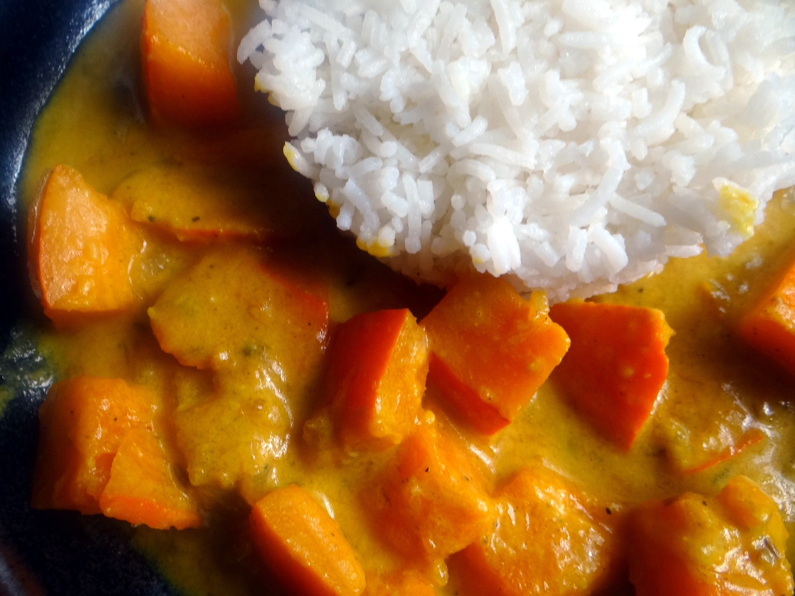 Kürbis Curry,RiiJiiBasmati Reis (3)