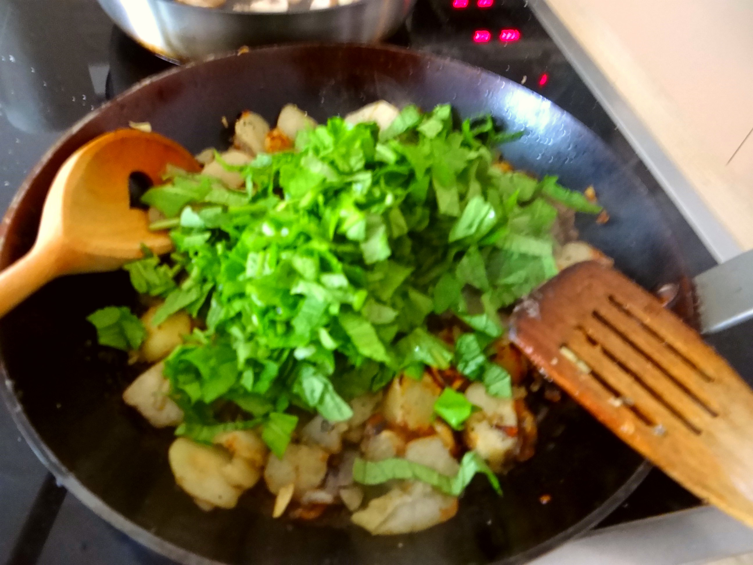 Pastinaken,Topinambur,Champignon (12)
