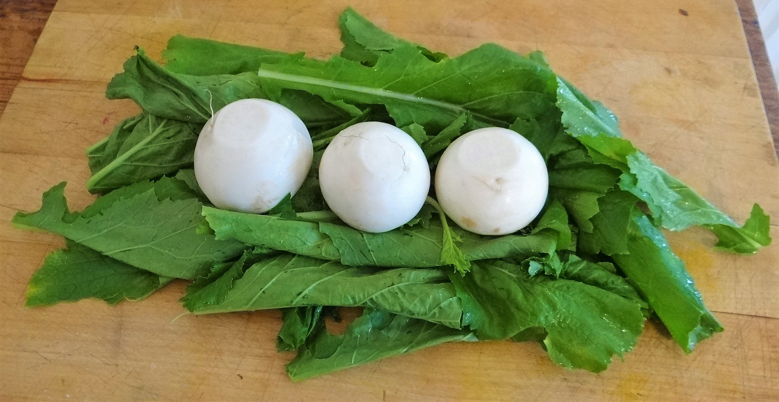 Mairübchen,Bärlauchpolenta,Zitronenpudding (9)