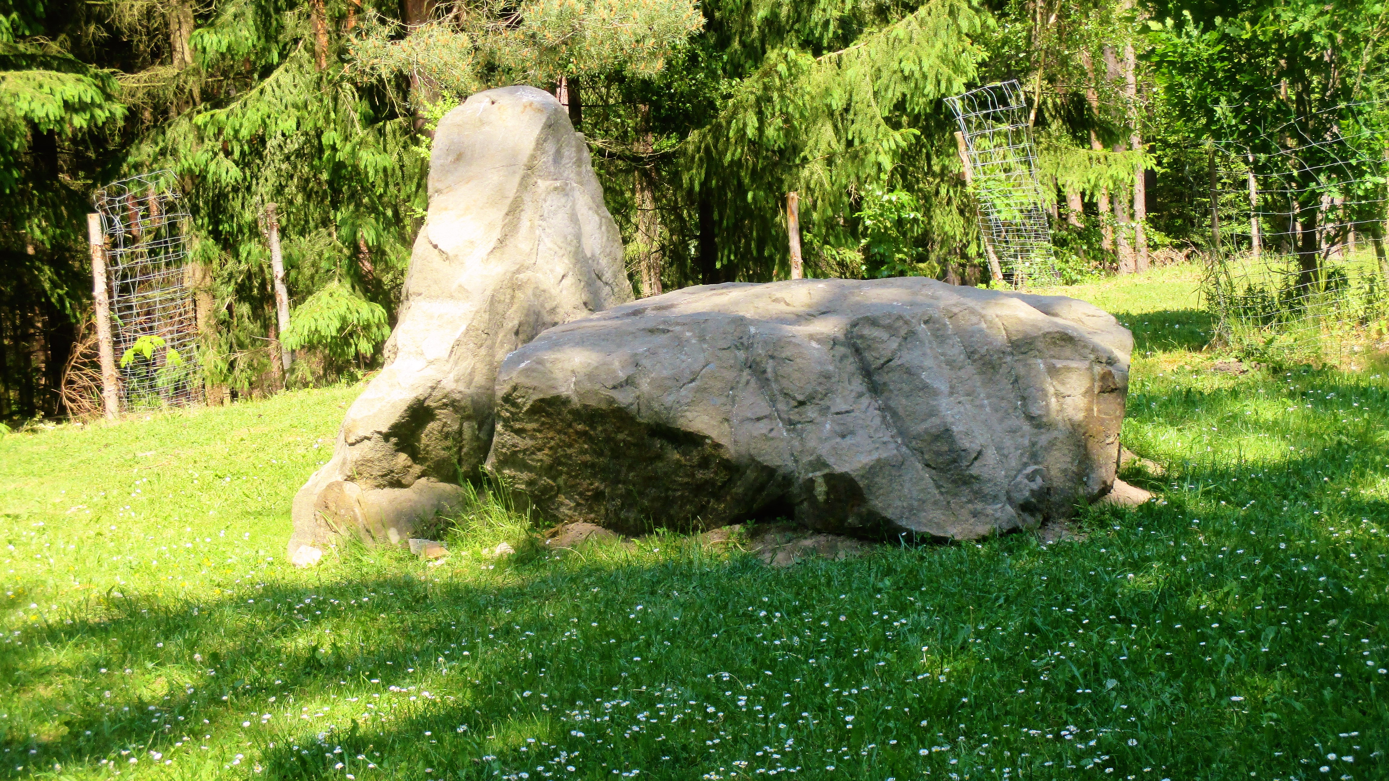 Waldspaziergang (11)