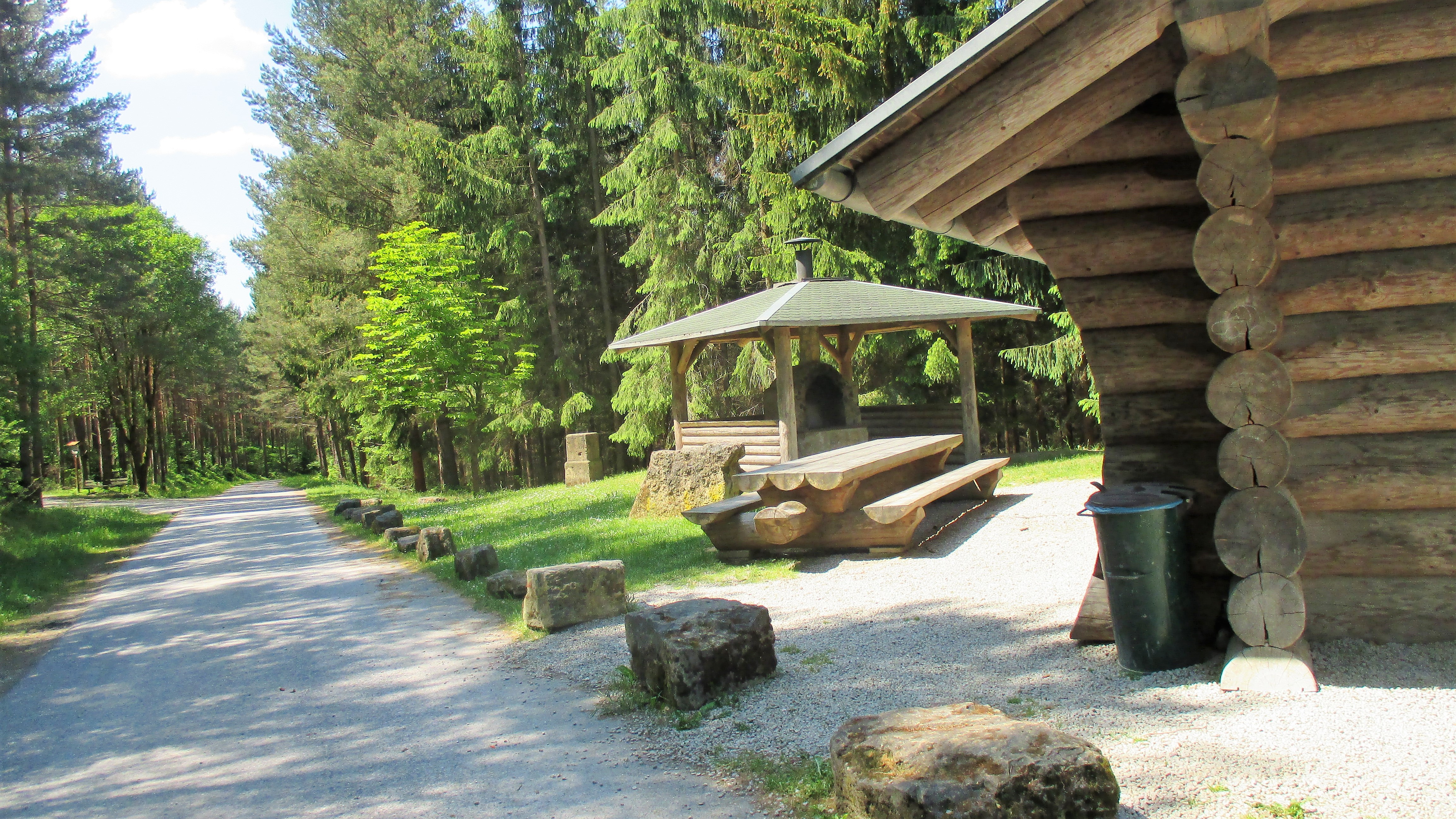 Waldspaziergang (13)