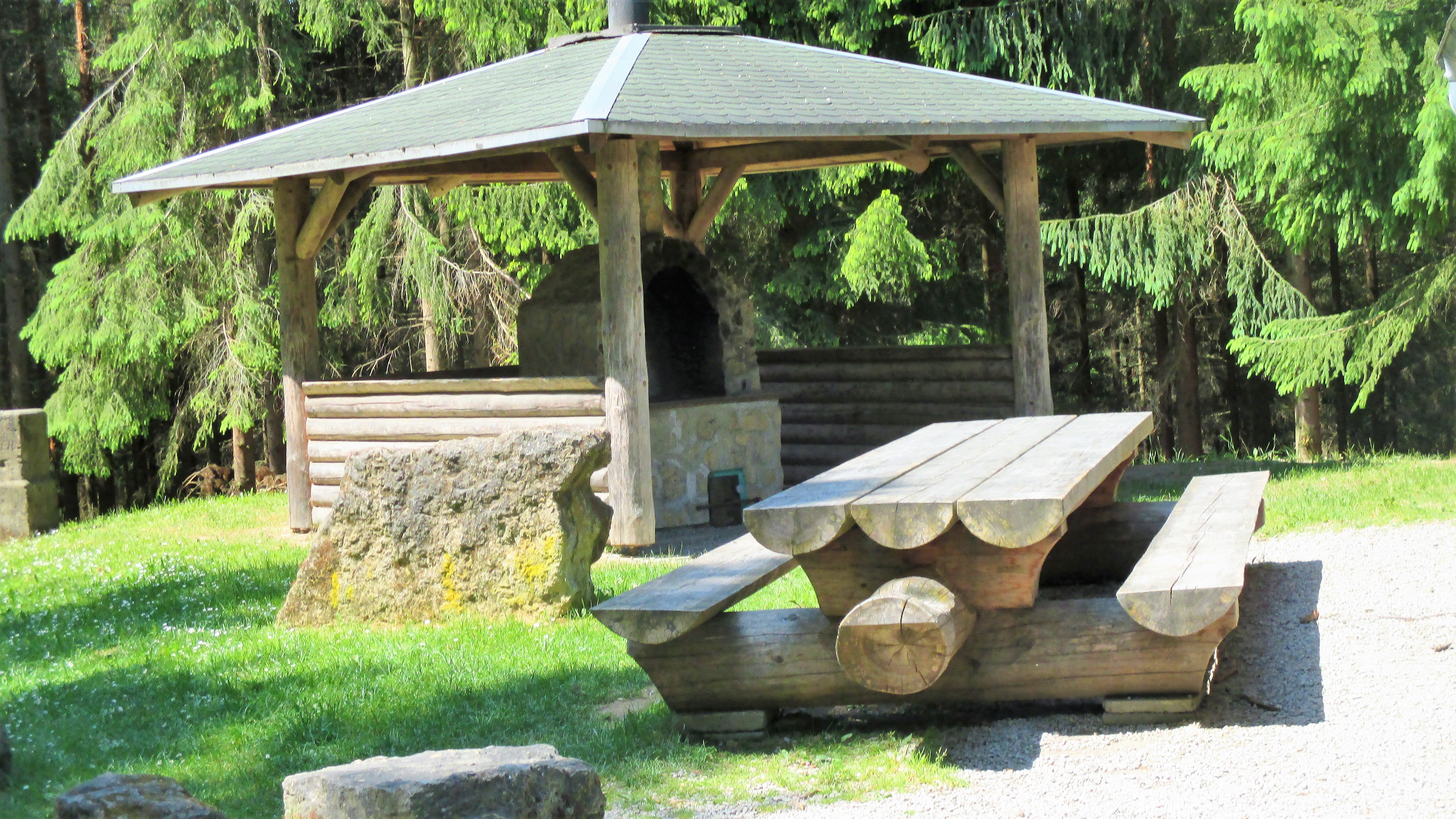 Waldspaziergang (14)
