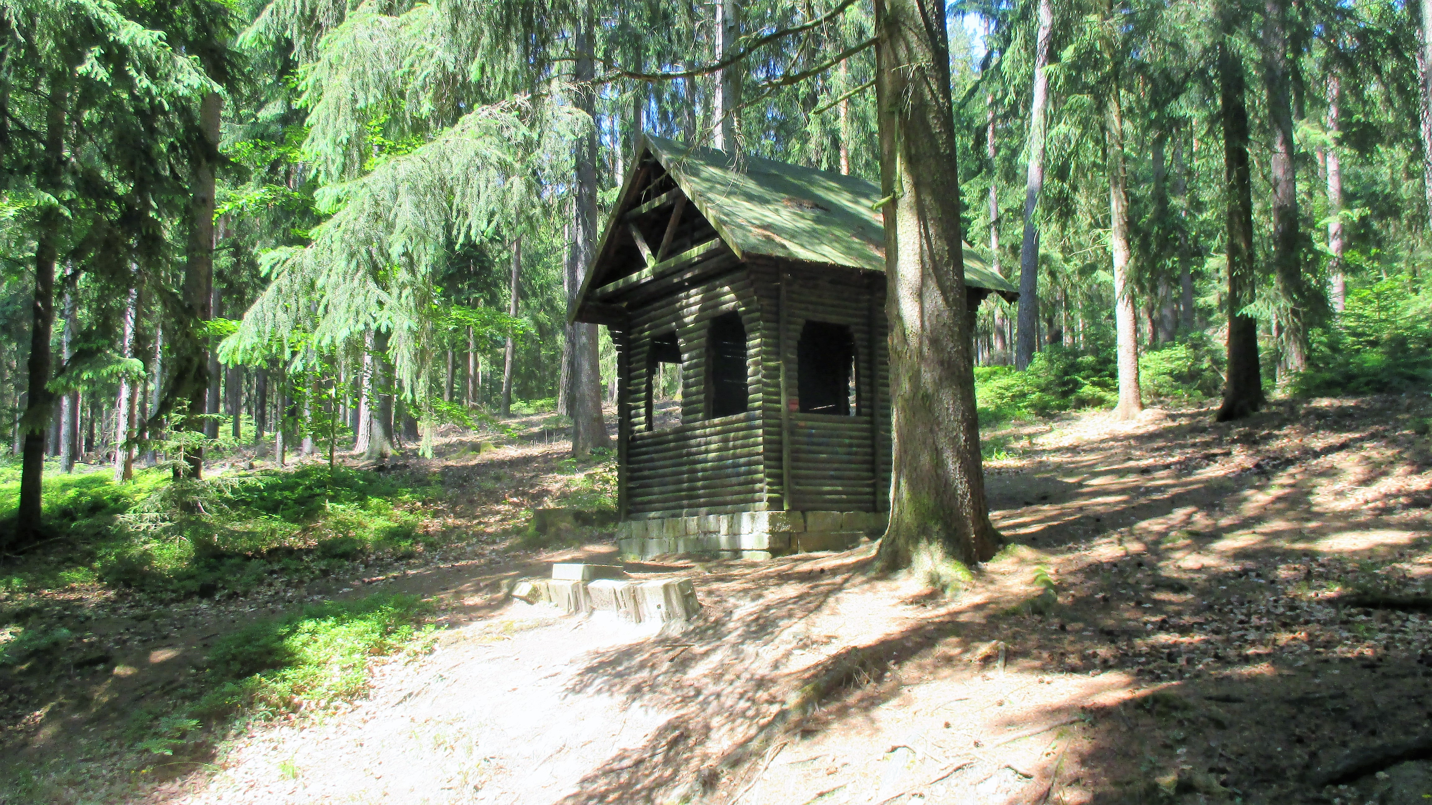 Waldspaziergang (8)