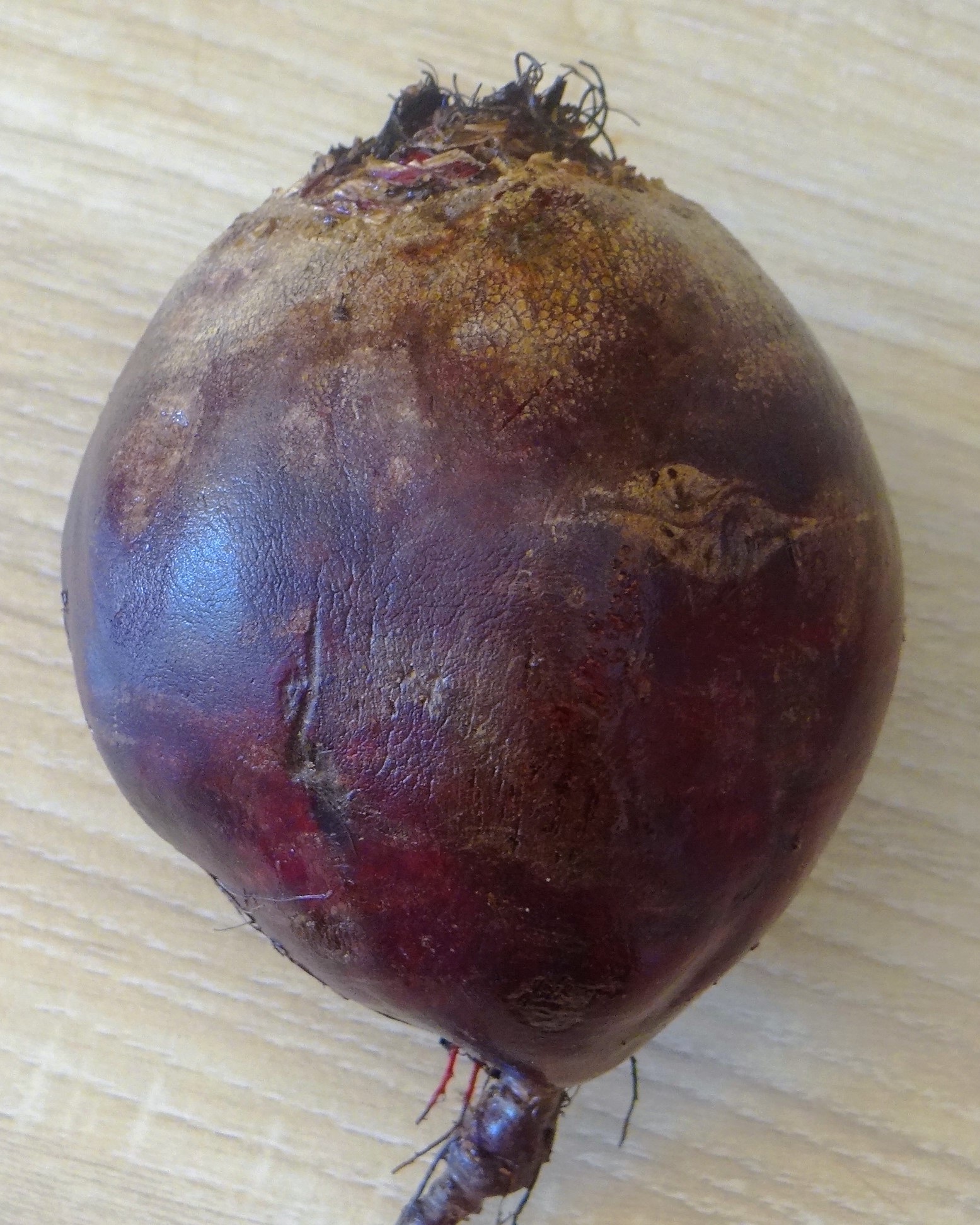 Rote Bete Salat,Kartoffel,Bunter Salat,Forelle (3)
