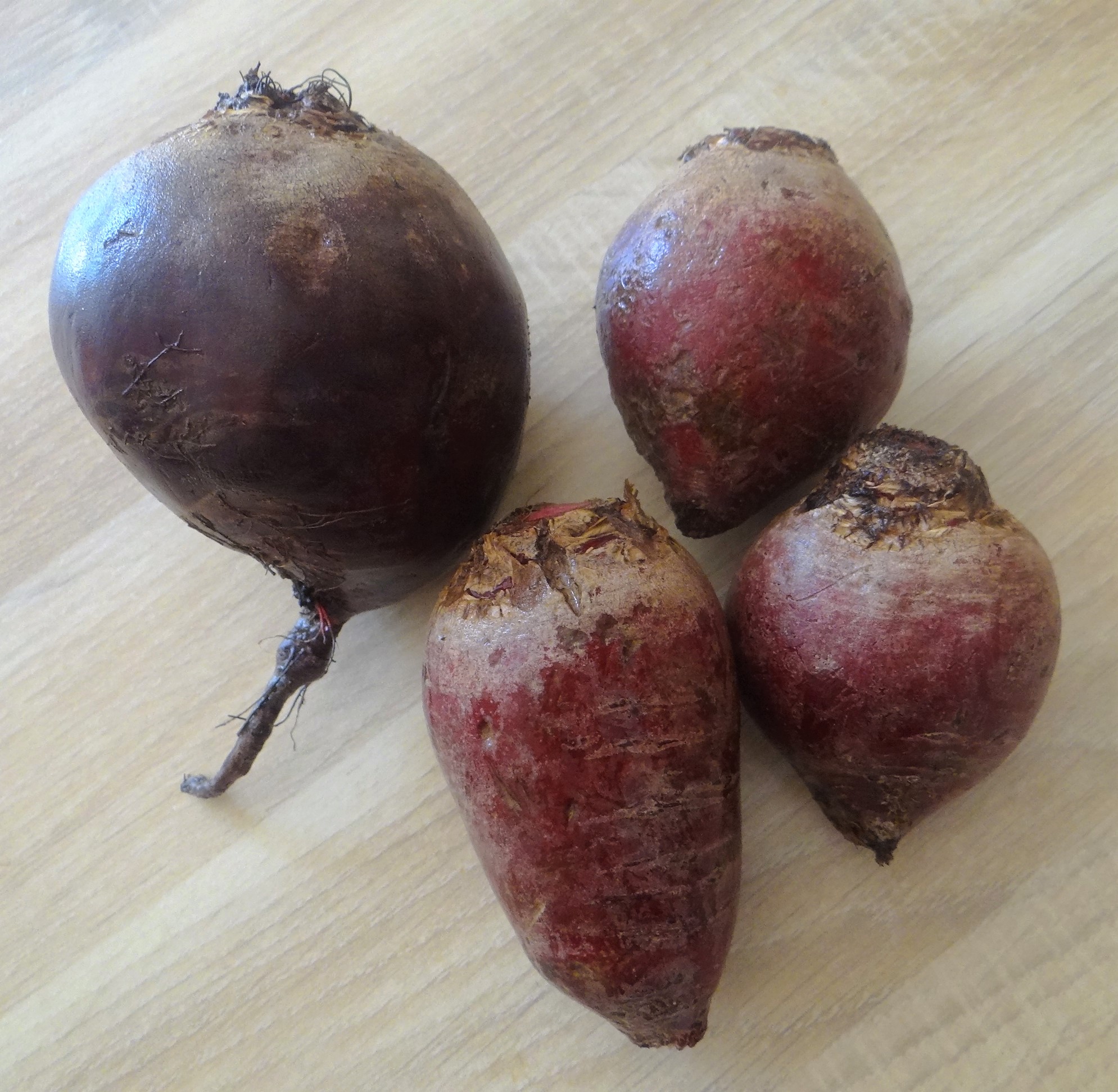 Rote Bete Salat,Kartoffel,Bunter Salat,Forelle (4)