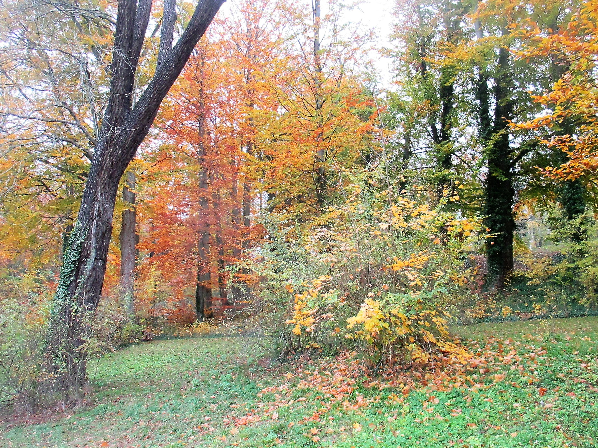 Sonntag Morgen im Park (4)