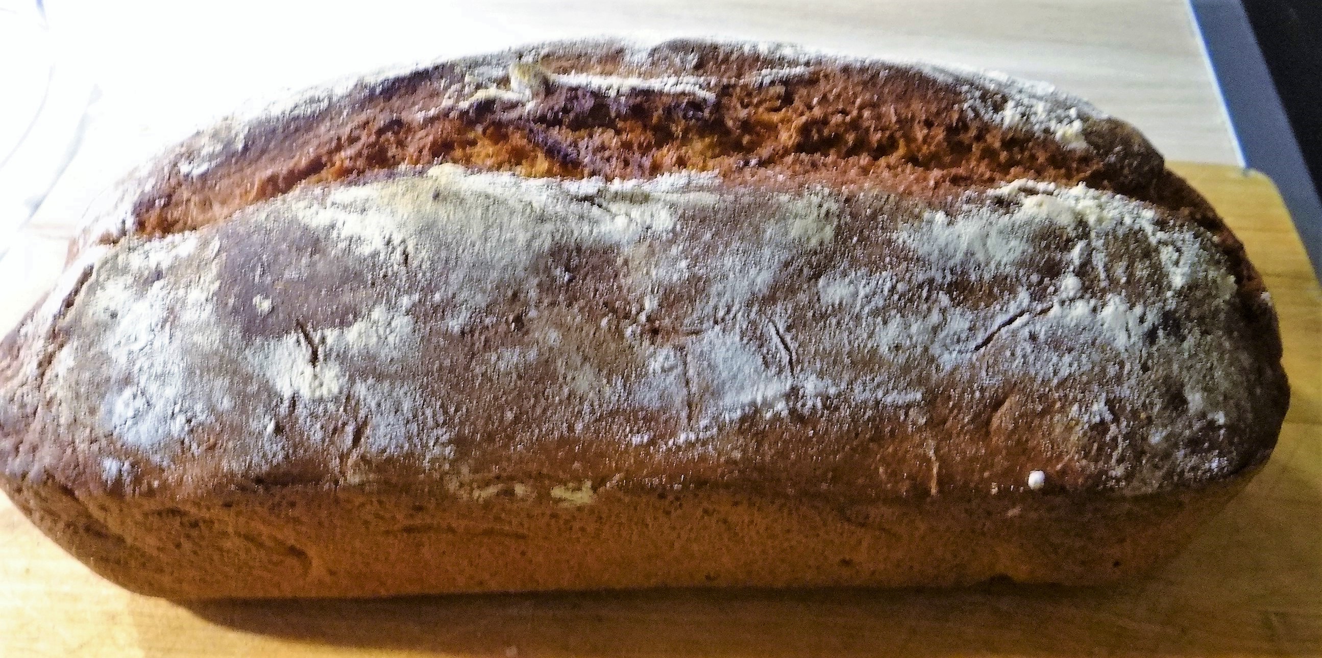 SauerteigbrotTrochensauerteig (1).JPG