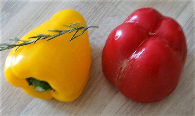 Muscheln in Tomatensauce und Paprikabrot (7)