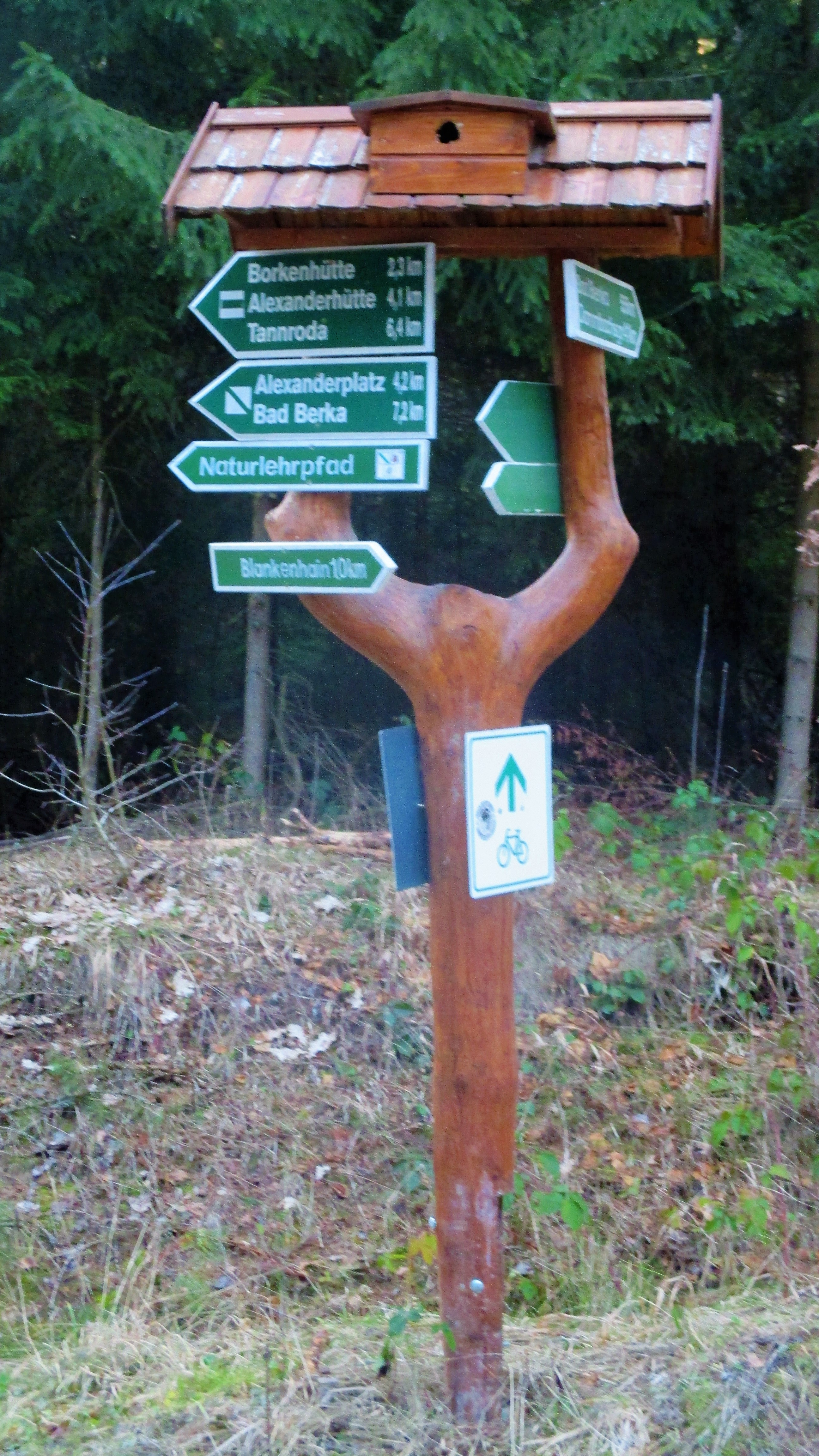 Waldspaziergang -März 2019 (1)