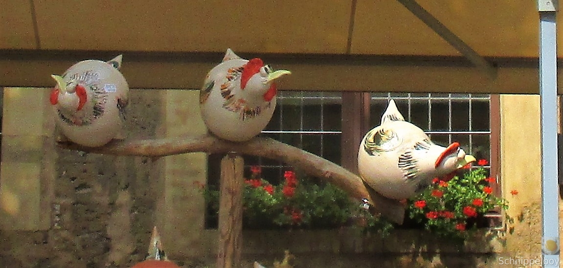 Töpfermarkt Jena 28.07 (14)