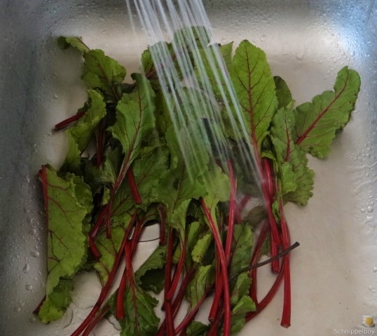 Seidentofu,Rote Bete,Rettichsalat (8)
