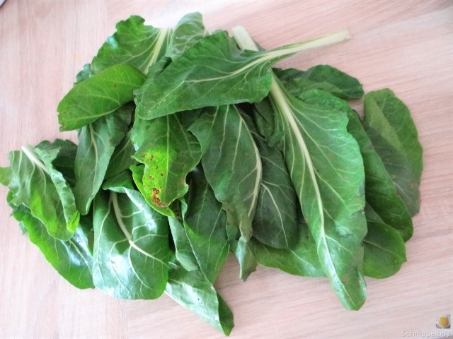 Zucchini,Mangold und Reste vom Vortag (8).JPG
