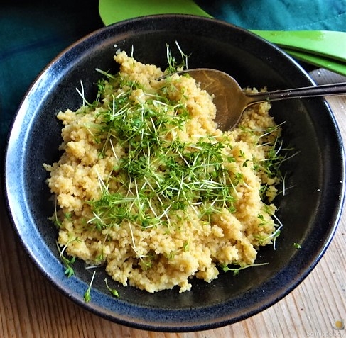 Kürbiscurry,Couscous, Guacamole,Salat (22).JPG