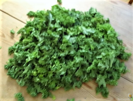 Grünkohl mit Pinkel (10)