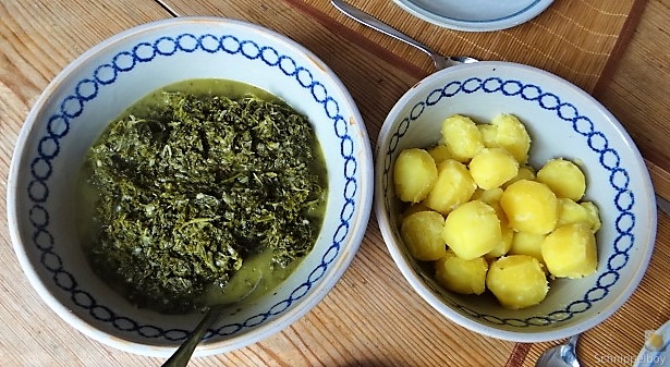 Grünkohl mit Pinkel (4)