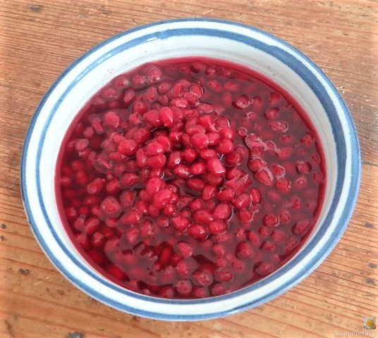 Reisbrei mit Granatapfel Kompott (10)