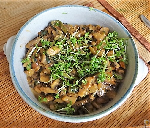 Zucchini Röllchen mit Champignon (17)
