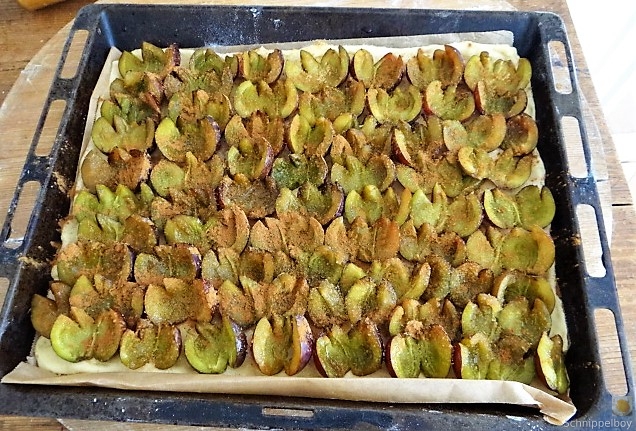 Pflaumenkuchen (11)