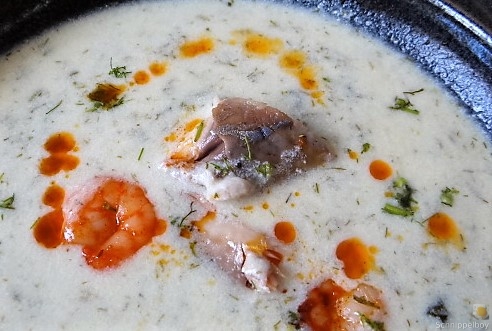 Butermilchsuppe mit geräuchertem Fisch (37)