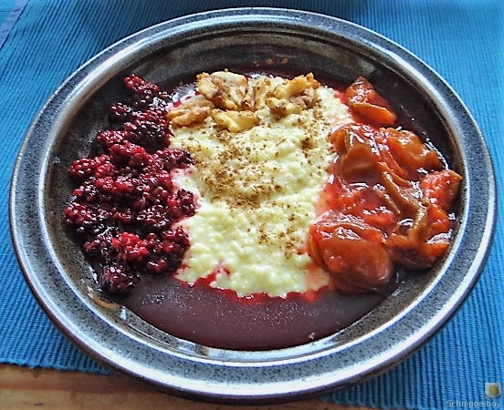 Hirsebrei und Kompott (28)